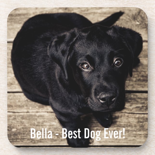 Personalised Black Lab Dog Photo and Dog Name Coaster (Front)