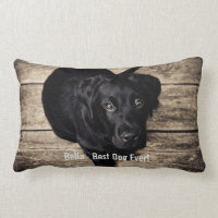 Personalised Black Lab Dog Photo and Dog Name