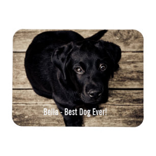 Personalised Black Lab Dog Photo and Dog Name Magnet