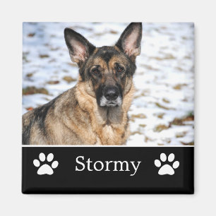 Personalised Black Pet Photo Magnet