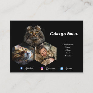 Personalised Black Photo Collage Cattery Business Card