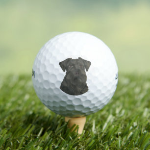 Personalised Black Schnauzer Golf Balls