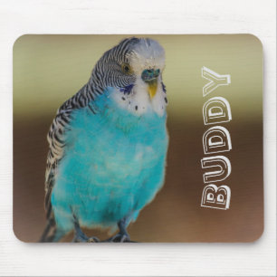 Personalised Blue Budgie Mousepad