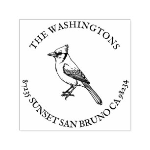 Personalised Blue Jay Return Address Stamp Name