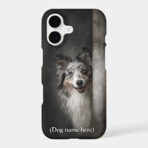 Personalised Blue Merle Sheltie Portrait