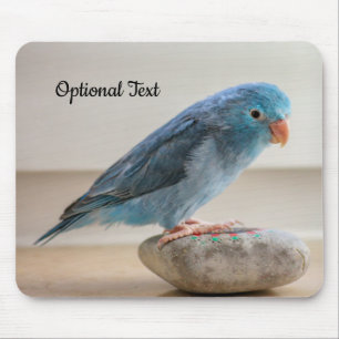 Personalised Blue Parrotlet Bird Mouse Pad