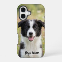Personalised Border Collie Photo and Name