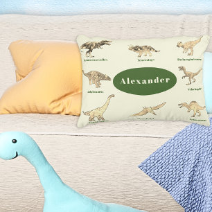 Personalised Boys Dinosaurs Decorative Cushion