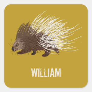 Personalised Brown and Mustard Porcupine Square Sticker