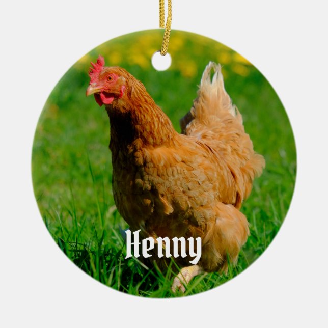 Personalised Brown Chicken in the grass Ceramic Tree Decoration (Front)