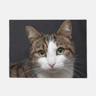 Personalised Brown Tabby Cat Single Pet Photo Doormat