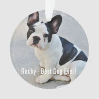 Personalised Bulldog Photo and Bulldog Name
