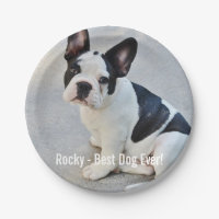 Personalised Bulldog Photo and Bulldog Name