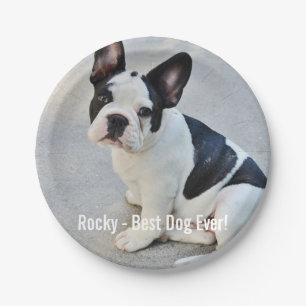 Personalised Bulldog Photo and Bulldog Name Paper Plate