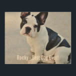 Personalised Bulldog Photo and Bulldog Name Wood Wall Art<br><div class="desc">Personalised Bulldog Photo and your Bulldog's Name - this design features an uploaded photo of your Bulldog (or any dog), your dog's name or add your own text - We love "dog's name", dog's birthday or day of passing. Just click on "customise" to add your personalised text, change the font...</div>