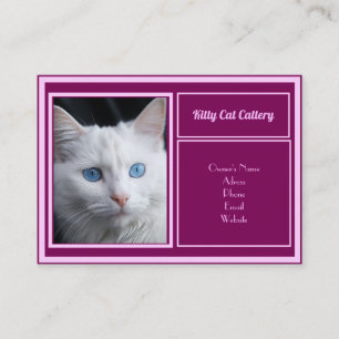 Personalised Business Card For Catteries