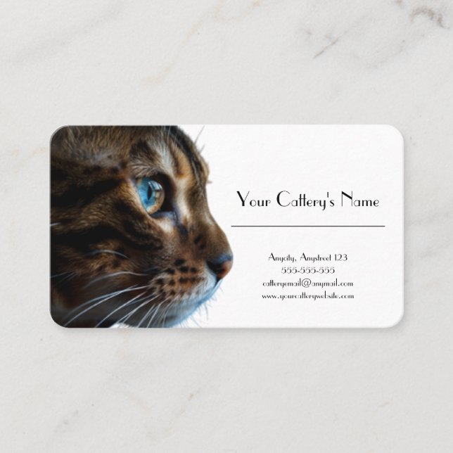 Personalised Business Card For Cattery (Front)