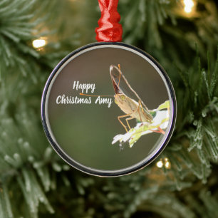 Personalised  Butterfly Photo Christmas Ornament