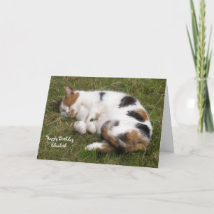 Personalised Calico cat curled up asleep Birthday Card