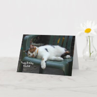 Personalised Calico cat curled up chair Birthday
