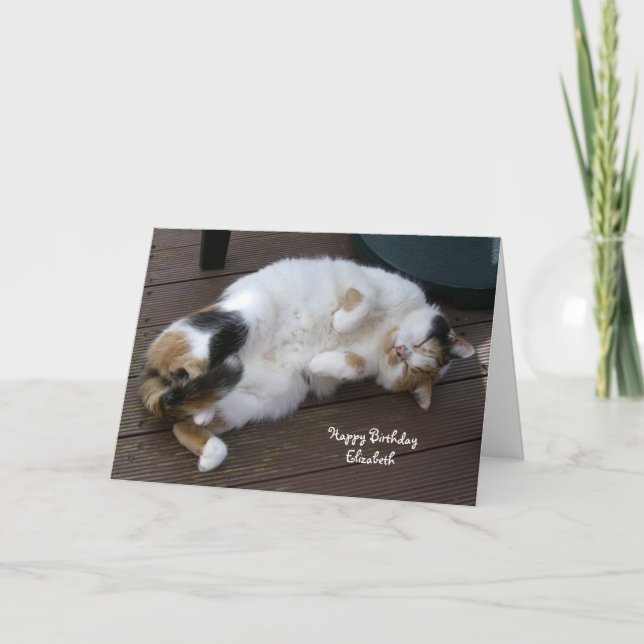 Personalised Calico cat curled up decking Birthday Card (Front)