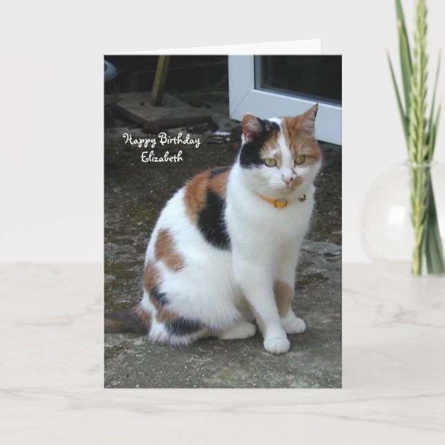 Personalised Calico cat sitting outside Birthday Card (Front)