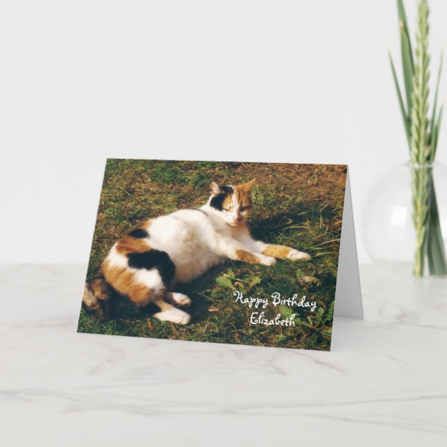 Personalised Calico cat sunbathing Birthday Card (Front)