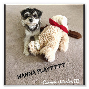 Personalised Carmine Photograph 6x6