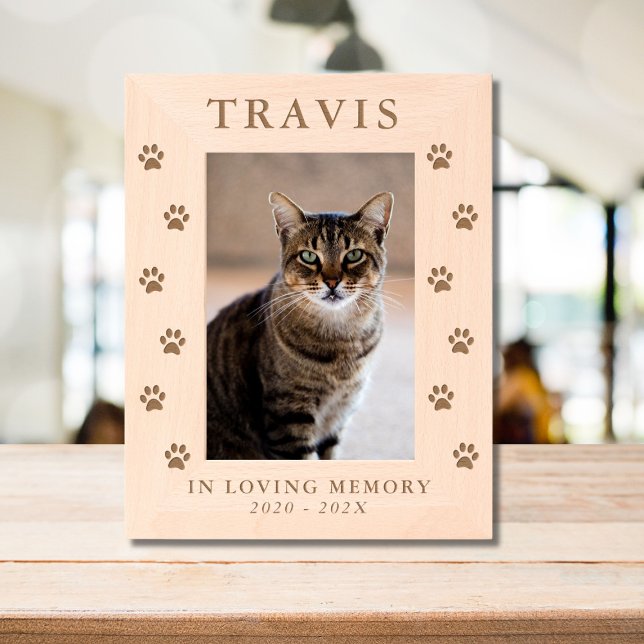 Personalised Cat Dog Pet Memorial  Etched Frames (Creator Uploaded)