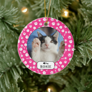 Personalised Cat Fish Bone & Pawprint Pet Photo Ce Ceramic Tree Decoration