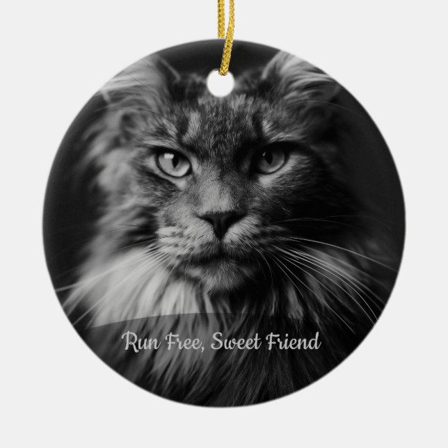 Personalised Cat Memorial Photo Ornament (Front)