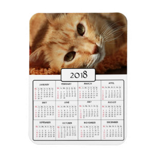 Personalised Cat Photo 2018 Calendar Magnet