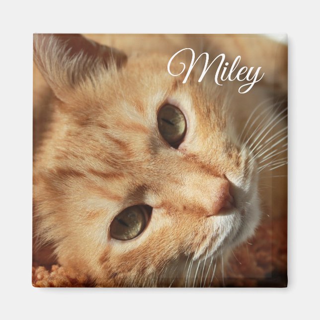 Personalised Cat Photo and Name Magnet (Front)