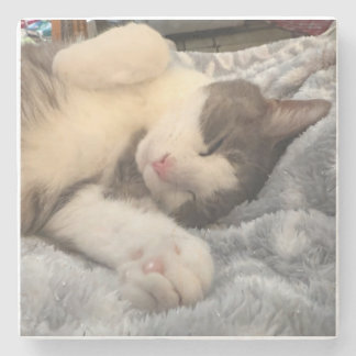 Personalised Cat Photo Pet Lover Gift Stone Coaster