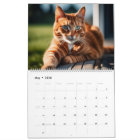 Personalised Cat Photos Pet Year Create Your Own