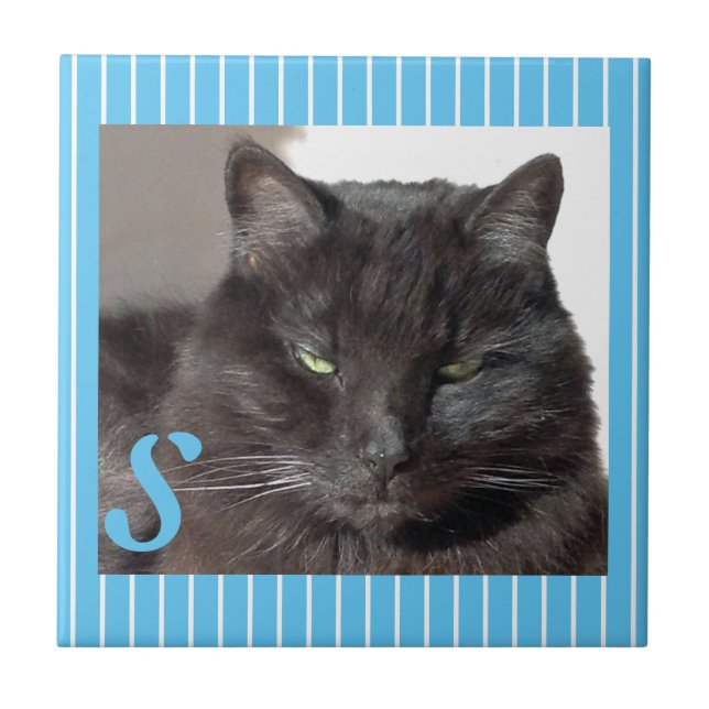 Personalised Ceramic Cat Tile (Front)