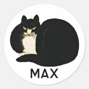 Personalised Chinese Qing Dynasty Black Manchu Cat Classic Round Sticker