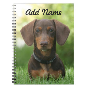 Personalised Chocolate and Tan Dachshund - Doxie Notebook
