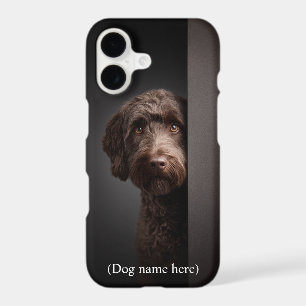Personalised Chocolate Labradoodle Portrait