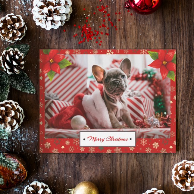 Personalised Christmas Holidays Photo Postcard (Creator Uploaded)