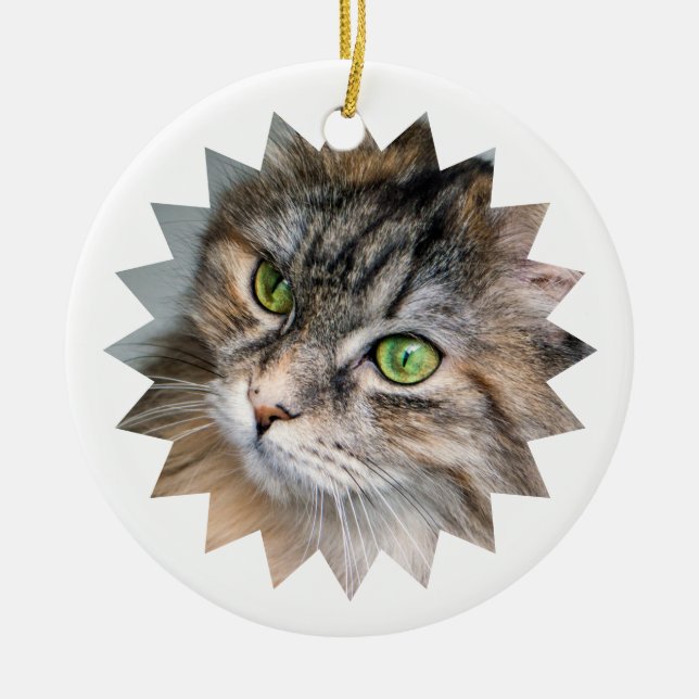 Personalised Christmas Pet Photo Ceramic Tree Decoration (Front)
