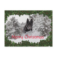 Personalised Christmas postcard with black dog