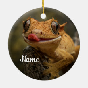 Personalised Crested Gecko Lizard Ceramic Tree Decoration