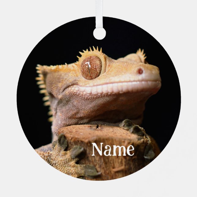 Personalised Crested Gecko Lizard on black Metal Tree Decoration (Back)