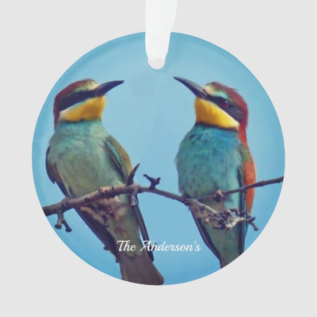 Personalised Custom Colourful Birds Photo Ornament (Front)