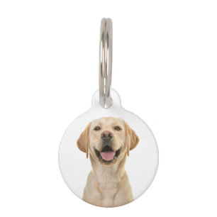 Personalised Custom Dog Pet Tag