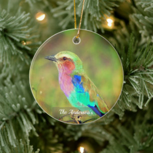 Personalised Custom Multicolor Bird Photo Ceramic Tree Decoration