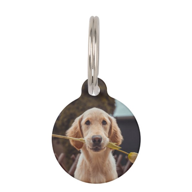 Personalised Custom Photo And Text Pet Tag (Front)