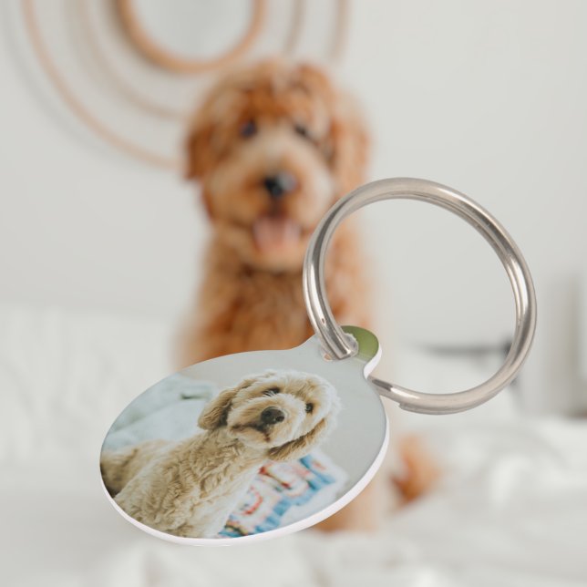 Personalised Custom Photo And Text Pet Tag (Creator Uploaded)