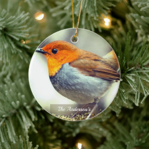 Personalised Custom Robin Bird Photo Ceramic Tree Decoration